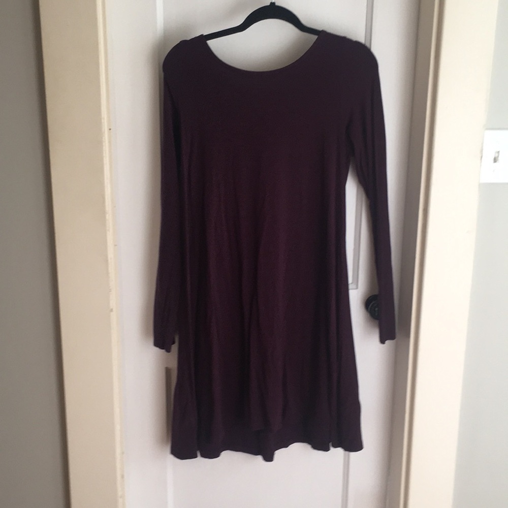 Express long sleeved dress